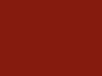 цвет натяжного потолка 547, коричнево-бордовый
