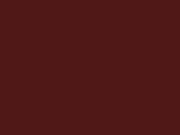 цвет натяжного потолка 555, коричневый
