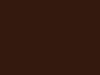 цвет натяжного потолка 571, темно-коричневый