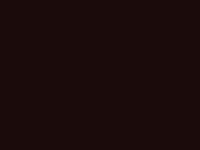 цвет натяжного потолка 577, черно-коричневый
