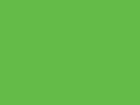 цвет натяжного потолка 644, травяной-зеленый