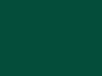 цвет натяжного потолка 682, темно-зеленый